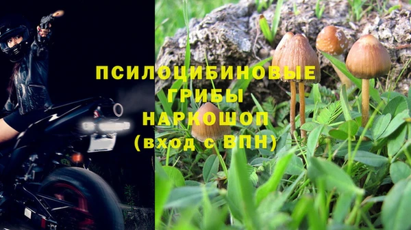 мет Абаза
