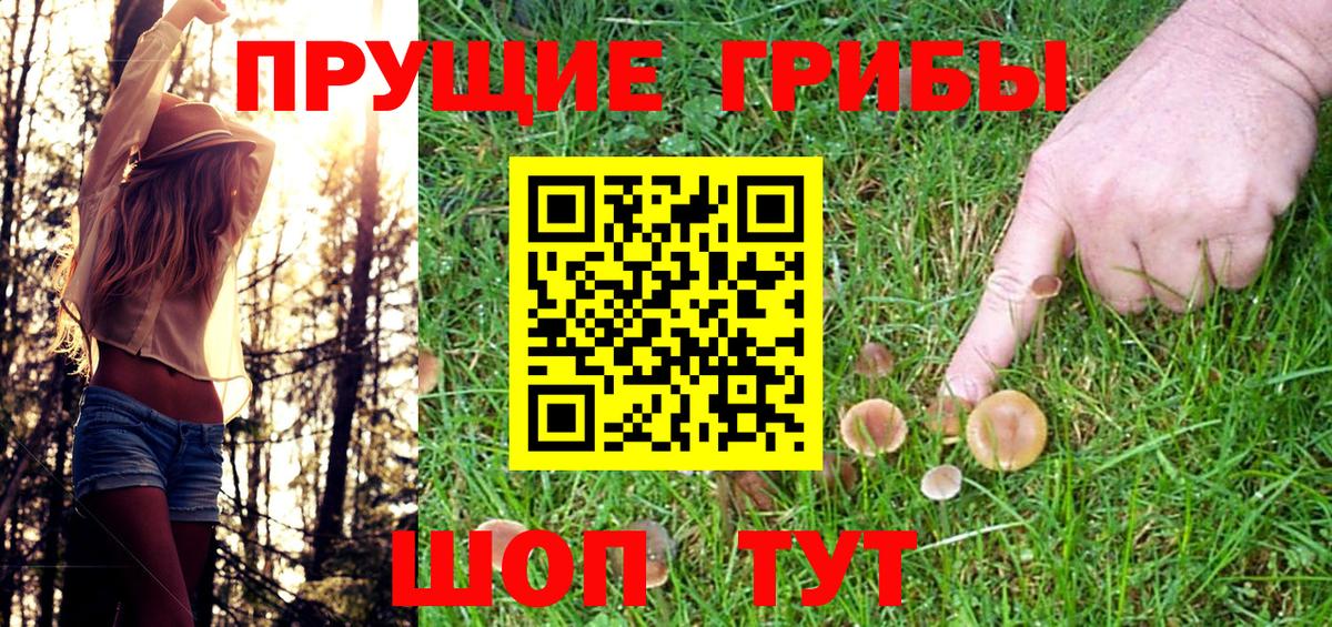 Галлюциногенные грибы MAGIC MUSHROOMS  Галлюциногенные грибы Psilocybe  Вход с VPN  Мурино 
