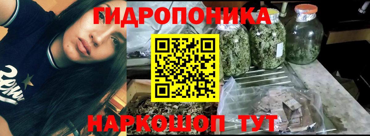Марихуана Bruce Banner  Каннабис гибрид  Вход с VPN  Мурино  Бошки Шишки LSD WEED  Конопля OG Kush 
